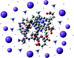 Graphical abstract: Salt bridges govern the structural heterogeneity of heme protein interactions and porphyrin networks: microperoxidase-11