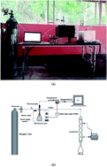 Graphical abstract: Activated carbon and palm oil fuel ash as microwave absorbers for microwave-assisted pyrolysis of oil palm shell waste