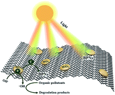 Graphical abstract: 2D black phosphorus and tungsten trioxide heterojunction for enhancing photocatalytic performance in visible light