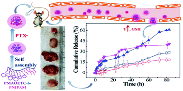 Graphical abstract: Polymers prepared through an “ATRP polymerization–esterification” strategy for dual temperature- and reduction-induced paclitaxel delivery