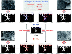 Graphical abstract: Mechanism of the evolution of pore structure during the preparation of activated carbon from Zhundong high-alkali coal based on gas–solid diffusion and activation reactions
