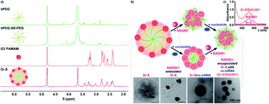 Graphical abstract: A dendritic, redox-responsive, supramolecular (Dr.S) system for lysis-triggered delivery for drug-resistant renal cancer