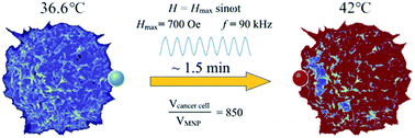 Graphical abstract: Smart magnetic nanopowder based on the manganite perovskite for local hyperthermia