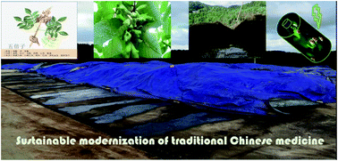 Graphical abstract: N,S co-doped hierarchical porous carbon from Chinese herbal residues for high-performance supercapacitors and oxygen reduction reaction