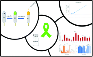 Graphical abstract: Portable solid-state sensor for therapeutic monitoring of an antineoplastic drug; vinblastine in human plasma
