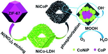Graphical abstract: Electrocatalytic activity sites for the oxygen evolution reaction on binary cobalt and nickel phosphides