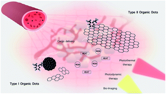 Graphical abstract: Organic dots (O-dots) for theranostic applications: preparation and surface engineering