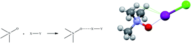 Graphical abstract: Polycentric binding in complexes of trimethylamine-N-oxide with dihalogens