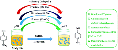 Graphical abstract: Tuning of structural and optical properties with enhanced catalytic activity in chemically synthesized Co-doped MoS2 nanosheets