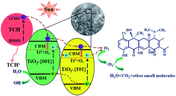 Graphical abstract: Transformation of novel TiOF2 nanoparticles to cluster TiO2-{001/101} and its degradation of tetracycline hydrochloride under simulated sunlight
