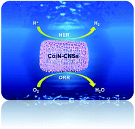 Graphical abstract: Cobalt/nitrogen codoped carbon nanosheets derived from catkins as a high performance non-noble metal electrocatalyst for oxygen reduction reaction and hydrogen evolution reaction