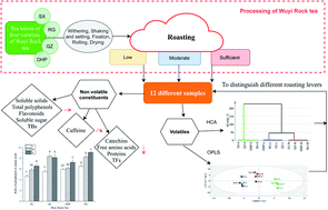Graphical abstract: Chemical characterization of Wuyi rock tea with different roasting degrees and their discrimination based on volatile profiles