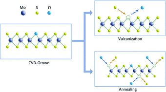 Graphical abstract: A mechanism for the variation in the photoelectric performance of a photodetector based on CVD-grown 2D MoS2