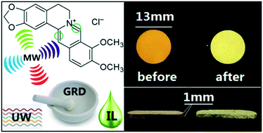 Graphical abstract: Reactive behavior of isoquinoline alkaloid in a green reduction process assisted by ionic liquids and solvent-free techniques