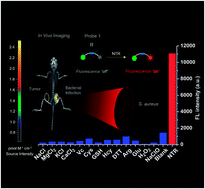 Graphical abstract: Rapid differentiation between bacterial infections and cancer using a near-infrared fluorogenic probe