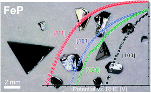 Graphical abstract: Crystallographic facet selective HER catalysis: exemplified in FeP and NiP2 single crystals