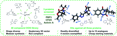 Graphical abstract: Demonstration of the utility of DOS-derived fragment libraries for rapid hit derivatisation in a multidirectional fashion