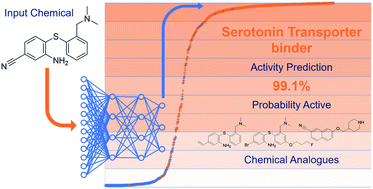 Graphical abstract: Neural network activation similarity: a new measure to assist decision making in chemical toxicology