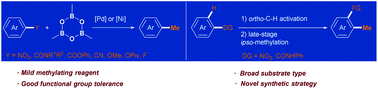 Graphical abstract: A methylation platform of unconventional inert aryl electrophiles: trimethylboroxine as a universal methylating reagent