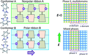 Graphical abstract: Metaelectric multiphase transitions in a highly polarizable molecular crystal