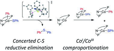 Graphical abstract: Concerted aryl-sulfur reductive elimination from PNP pincer-supported Co(iii) and subsequent Co(i)/Co(iii) comproportionation
