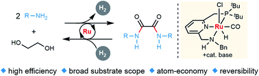 Graphical abstract: Synthesis of oxalamides by acceptorless dehydrogenative coupling of ethylene glycol and amines and the reverse hydrogenation catalyzed by ruthenium
