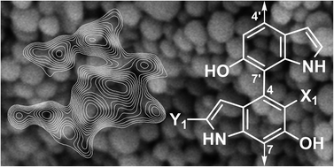Graphical abstract: Chemoenzymatic elaboration of the Raper–Mason pathway unravels the structural diversity within eumelanin pigments
