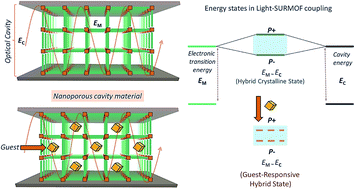 Graphical abstract: Guest-responsive polaritons in a porous framework: chromophoric sponges in optical QED cavities
