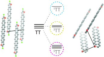 Graphical abstract: Conversion between triplet pair states is controlled by molecular coupling in pentadithiophene thin films