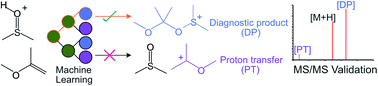 Graphical abstract: Graph-based machine learning interprets and predicts diagnostic isomer-selective ion–molecule reactions in tandem mass spectrometry