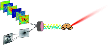 Graphical abstract: Simultaneous structural and elemental nano-imaging of human brain tissue