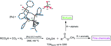 Graphical abstract: Ruthenium-catalyzed hydrogenation of CO2 as a route to methyl esters for use as biofuels or fine chemicals