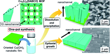 Graphical abstract: Controlling the alignment of 1D nanochannel arrays in oriented metal–organic framework films for host–guest materials design