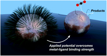 Graphical abstract: Metal–ligand bond strength determines the fate of organic ligands on the catalyst surface during the electrochemical CO2 reduction reaction