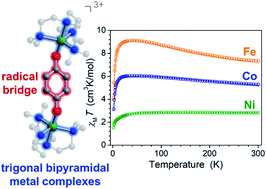 Graphical abstract: Semiquinone radical-bridged M2 (M = Fe, Co, Ni) complexes with strong magnetic exchange giving rise to slow magnetic relaxation