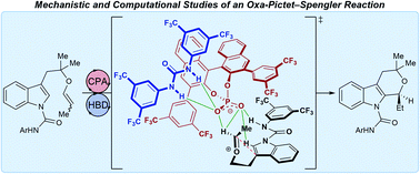 Graphical abstract: Mechanism and origins of selectivity in the enantioselective oxa-Pictet–Spengler reaction: a cooperative catalytic complex from a hydrogen bond donor and chiral phosphoric acid