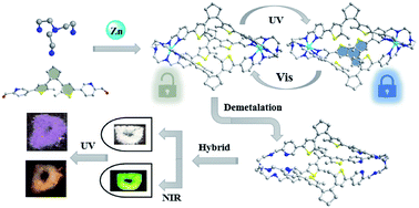 Graphical abstract: Coordinative-to-covalent transformation, isomerization dynamics, and logic gate application of dithienylethene based photochromic cages