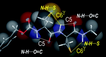 Graphical abstract: Conformation control through concurrent N–H⋯S and N–H⋯O [[double bond, length as m-dash]] C hydrogen bonding and hyperconjugation effects