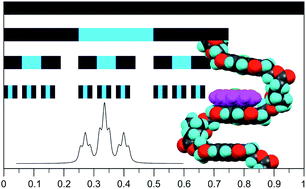 Graphical abstract: Single-site binding of pyrene to poly(ester-imide)s incorporating long spacer-units: prediction of NMR resonance-patterns from a fractal model