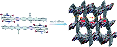 Graphical abstract: Regiocontrolled dimerization of asymmetric diazaheptacene derivatives toward X-shaped porous semiconductors