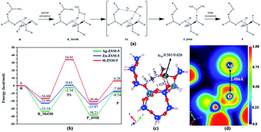 Graphical abstract: Cooperative catalytically active sites for methanol activation by single metal ion-doped H-ZSM-5
