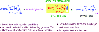 Graphical abstract: Direct, stereoselective thioglycosylation enabled by an organophotoredox radical strategy