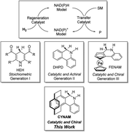 Graphical abstract: Design and synthesis of chiral and regenerable [2.2]paracyclophane-based NAD(P)H models and application in biomimetic reduction of flavonoids