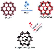 Graphical abstract: Inorganic nanocrystal-dynamic porous polymer assemblies with effective energy transfer for sensitive diagnosis of urine copper