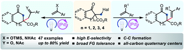 Graphical abstract: Visible-light-driven palladium-catalyzed Dowd–Beckwith ring expansion/C–C bond formation cascade