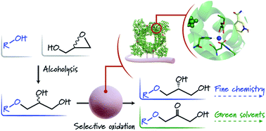 Graphical abstract: Selective oxidation of alkyl and aryl glyceryl monoethers catalysed by an engineered and immobilised glycerol dehydrogenase