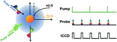 Graphical abstract: The video-rate imaging of sub-10 nm plasmonic nanoparticles in a cellular medium free of background scattering
