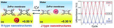 Graphical abstract: A soft on/off switch based on the electrochemically reversible H–J interconversion of a floating porphyrin membrane