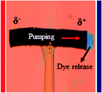 Graphical abstract: Designing tubular conducting polymer actuators for wireless electropumping