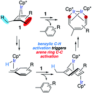 Graphical abstract: Selective cleavage of unactivated arene ring C–C bonds by iridium: key roles of benzylic C–H activation and metal–metal cooperativity